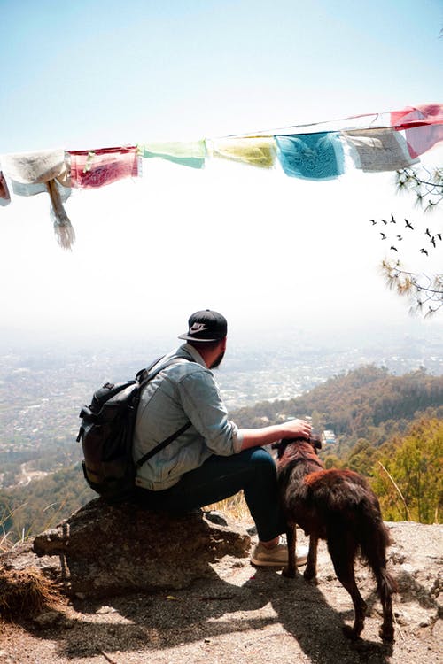 safe while hiking with pet